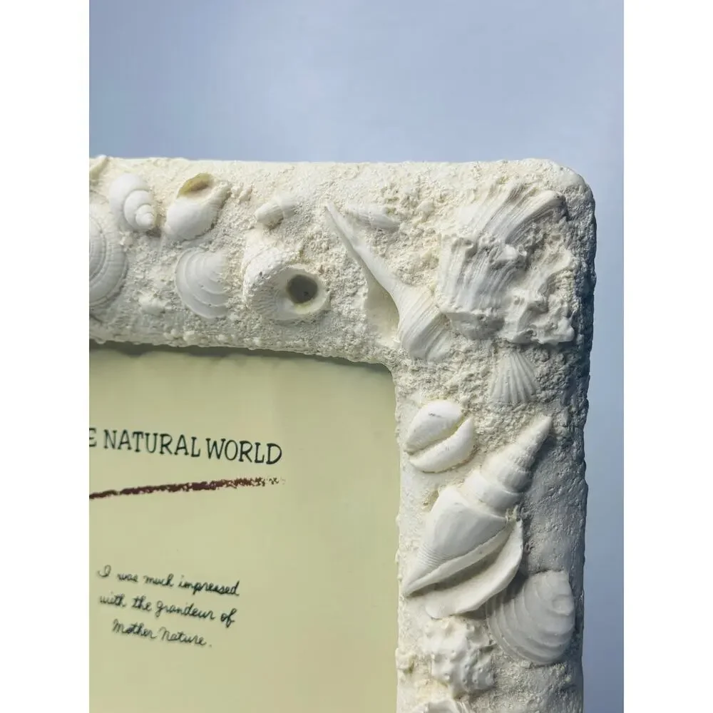 Seashell Ocean Beach Sealife Cream Square Picture Frame 4.5